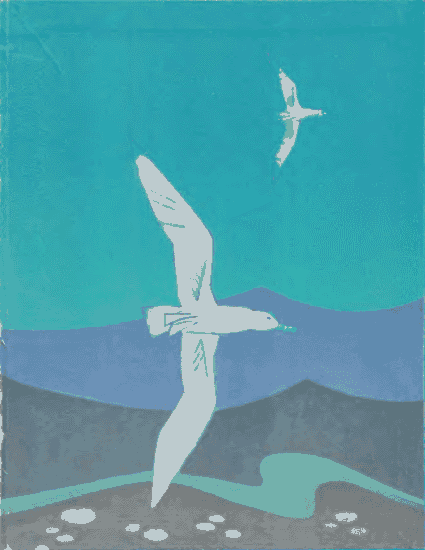 Синева до самого солнца, или Повесть о том, что случилось с Васей Соломкиным у давно потухшего вулкана - i_021.png