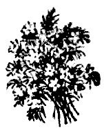 Дружба. Выпуск 3 - i_028.png