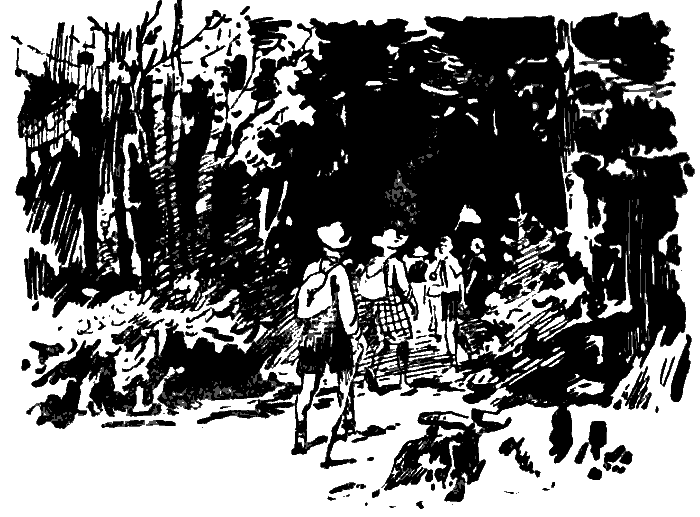 Дружба. Выпуск 3 - i_052.png