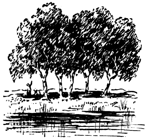 Дружба. Выпуск 3 - i_061.png