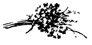 Дружба. Выпуск 3 - i_062.png