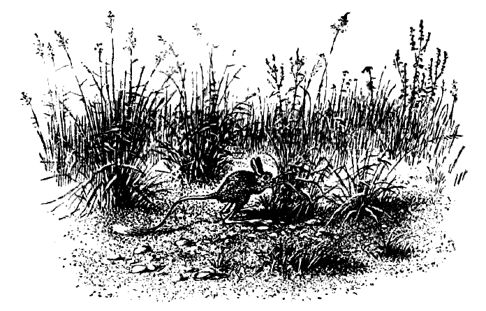 Дружба. Выпуск 3 - i_077.png