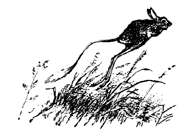 Дружба. Выпуск 3 - i_078.png