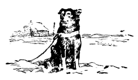 Дружба. Выпуск 3 - i_100.png