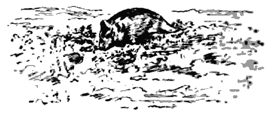 Дружба. Выпуск 3 - i_104.png