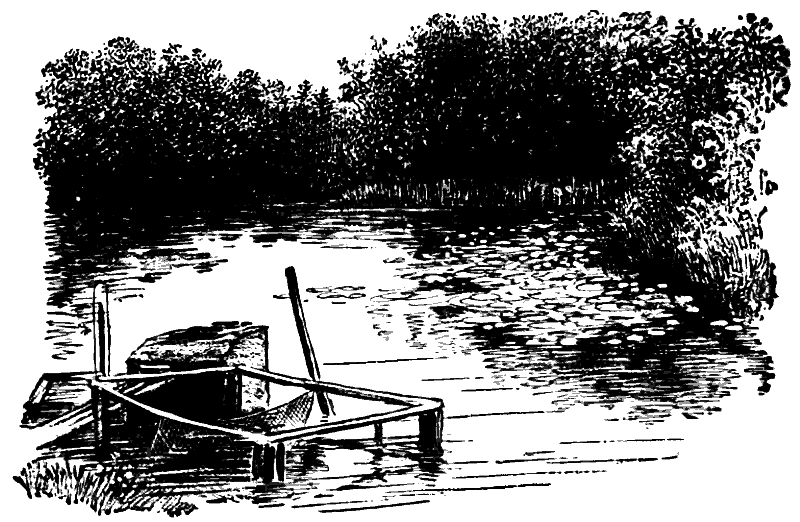 Дружба. Выпуск 3 - i_108.png