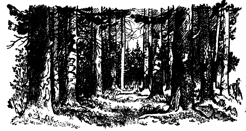 Дружба. Выпуск 3 - i_110.png