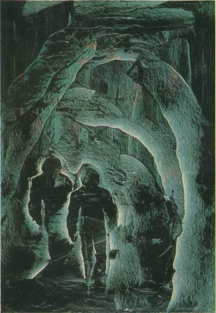 Судьбы наших детей (сборник) - i_004.jpg