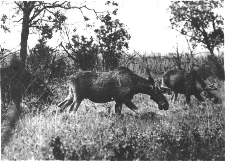 Глобус 1976 - _144.jpg