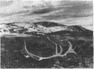 Глобус 1976 - _50.jpg