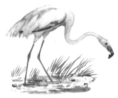 Глобус 1976 - _138.jpg