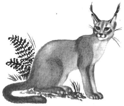 Глобус 1976 - _142.jpg