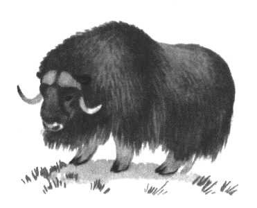 Глобус 1976 - _143.jpg