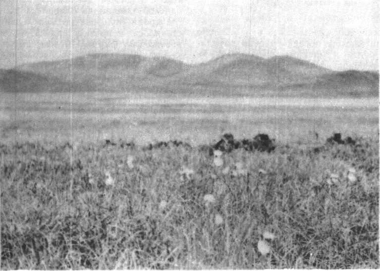 Глобус 1976 - _48.jpg