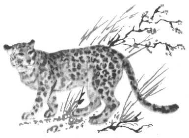 Глобус 1976 - _137.jpg