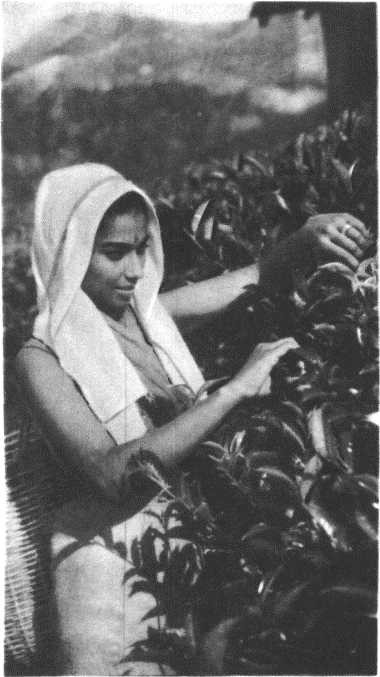 Глобус 1976 - _126.jpg