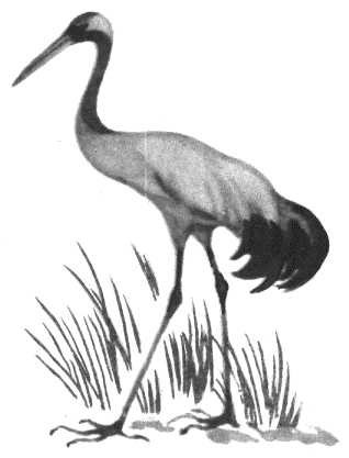 Глобус 1976 - _140.jpg