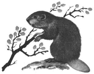 Глобус 1976 - _141.jpg