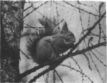 Глобус 1976 - _147.jpg