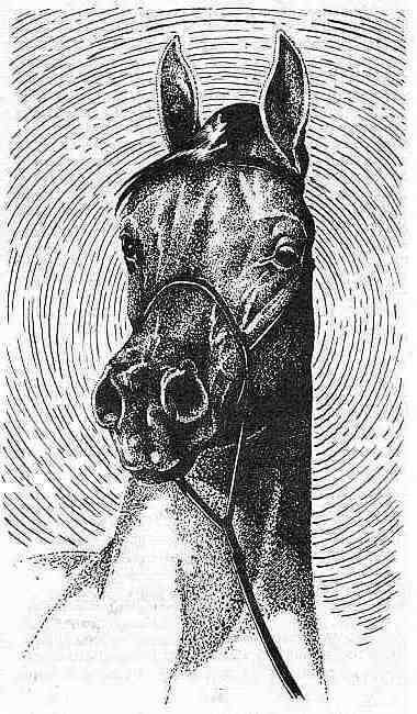 Полосатый Эргени (сборник) - _10.jpg