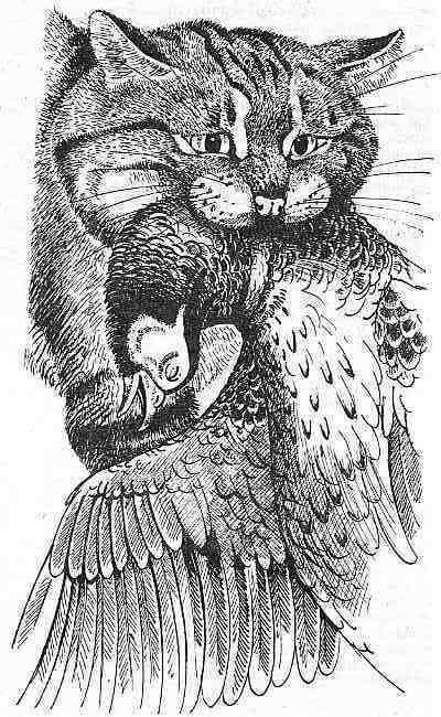 Полосатый Эргени (сборник) - _12.jpg