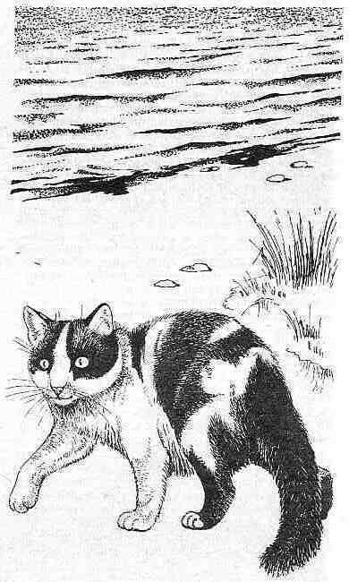 Полосатый Эргени (сборник) - _16.jpg