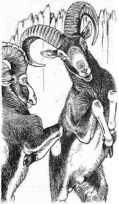 Полосатый Эргени (сборник) - _19.jpg