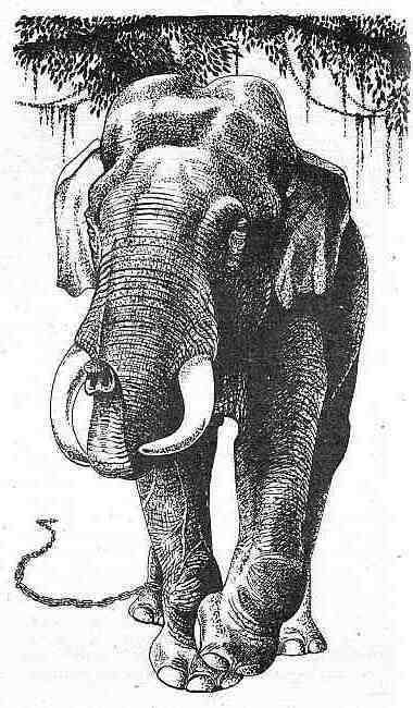 Полосатый Эргени (сборник) - _9.jpg