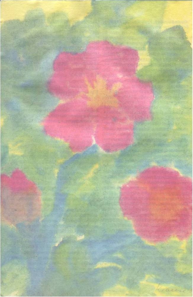 Воспитание к свободе - _65.jpg