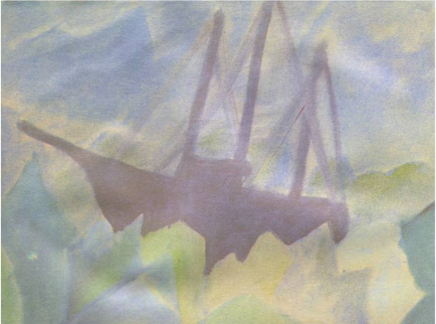 Воспитание к свободе - _67.jpg