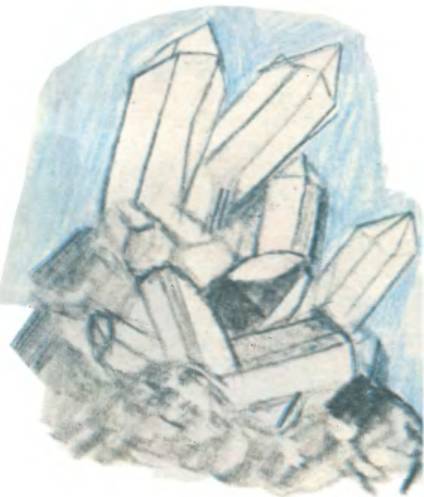 Воспитание к свободе - _95.jpg