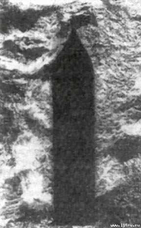 Стая - img02.jpg