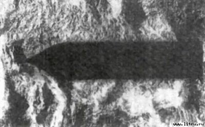 Стая - img03.jpg