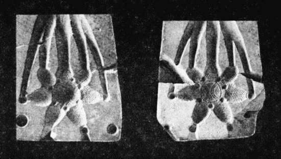 Киевская Русь и русские княжества XII-XIII вв. Происхождение Руси и становление ее государственности - i_080.jpg