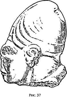 Двенадцатая планета - any2fbimgloader39.jpeg