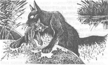 Западня - pic_10.jpg