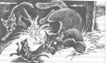 Западня - pic_18.jpg