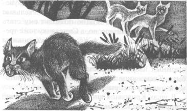 Западня - pic_32.jpg