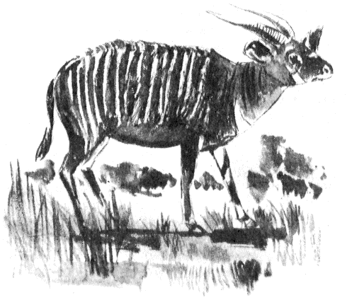 Томек в стране фараонов - pic07.png