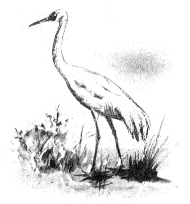 Томек в стране фараонов - pic09.png