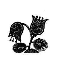 Дымок - pic_15.jpg