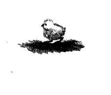 Дымок - pic_17.jpg