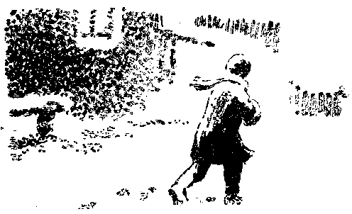 Рассказы и повести - pic_34.png