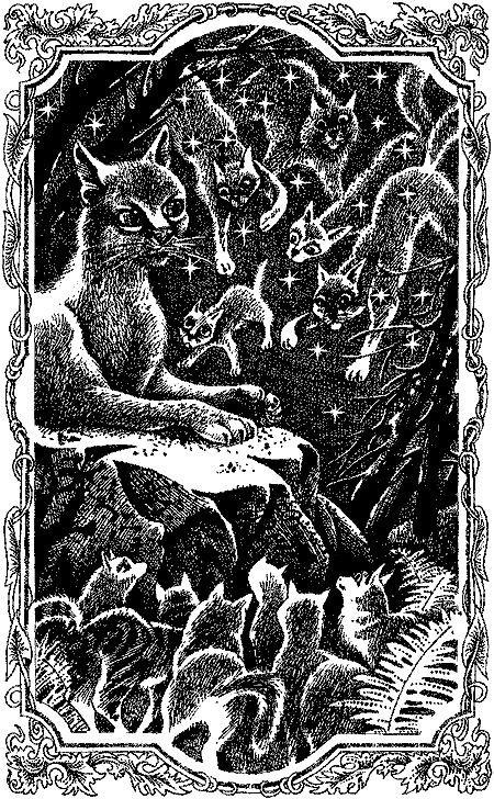 Выбор - i_001.png