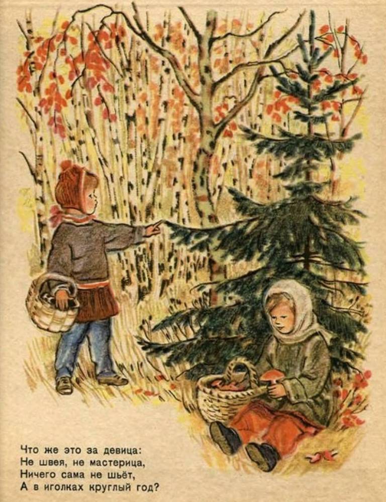 Загадки - _2.jpg