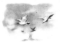 Наша армия родная (сборник) - _22.jpg