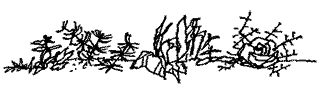 Школьные истории, веселые и грустные (сборник) - pic39.png