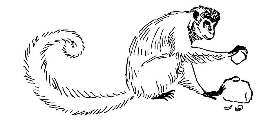 С утра и до вечера - _19.jpg