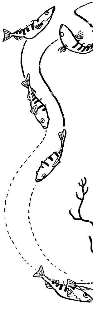 С утра и до вечера - _47.jpg