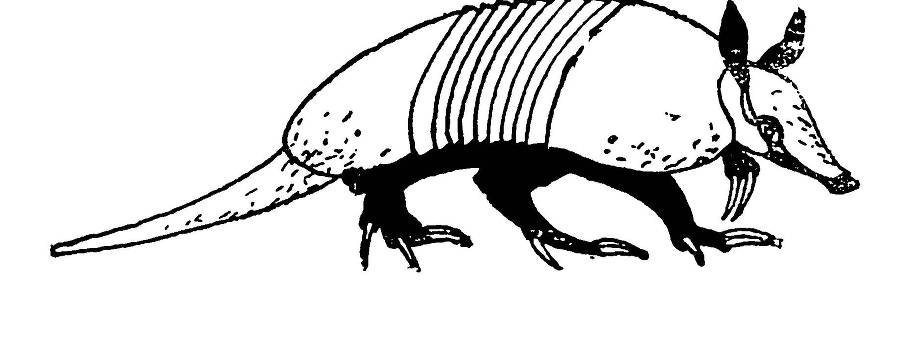 С утра и до вечера - _70.jpg